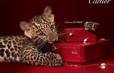 Cartier Logo Wallpapers - Top Free Cartier Logo Backgrounds - WallpaperAccess