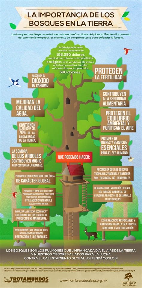 "Cuidando el Medio Ambiente y la Salud" | Educacion ambiental, Recursos de enseñanza de español ...