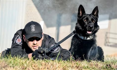 Police & Military K9 Training and Sales | Tactical Police K9 Training