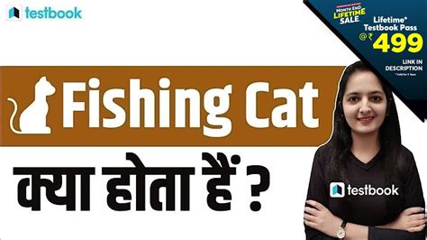 Fishing Cat in Hindi | Everything about Fishing Cat Conservation Alliance | GS for UPSC CSE 2021 ...