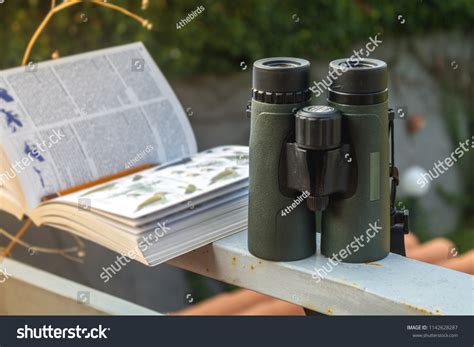 3,726 Bird watching binoculars Images, Stock Photos & Vectors ...