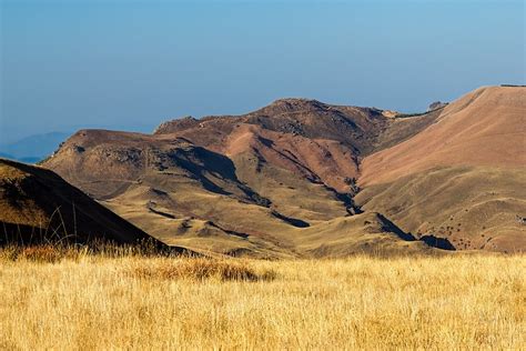 Highveld Grasslands | One Earth