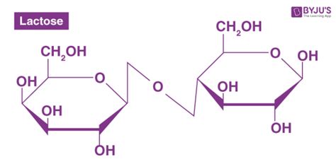 Structure Of Lactose