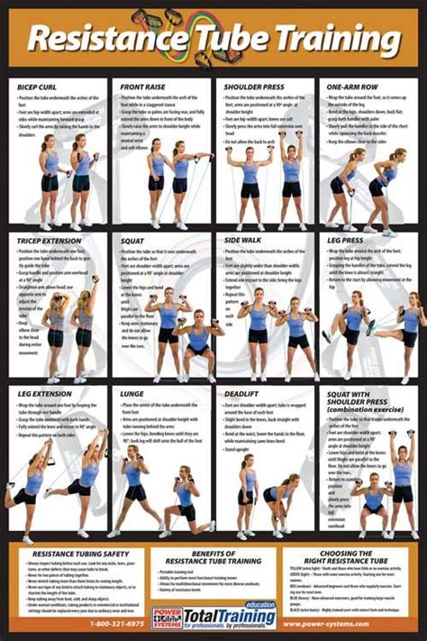 Printable Gold's Gym Xrs 50 Exercise Chart