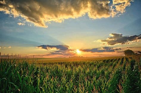 Iowa Corn Fields by Bonfire Photography | Beautiful landscape images ...