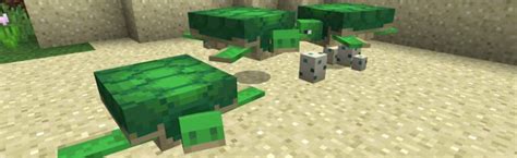 Minecraft: How-to Breed Turtles - Babies, Scutes, and Hatching Eggs ...