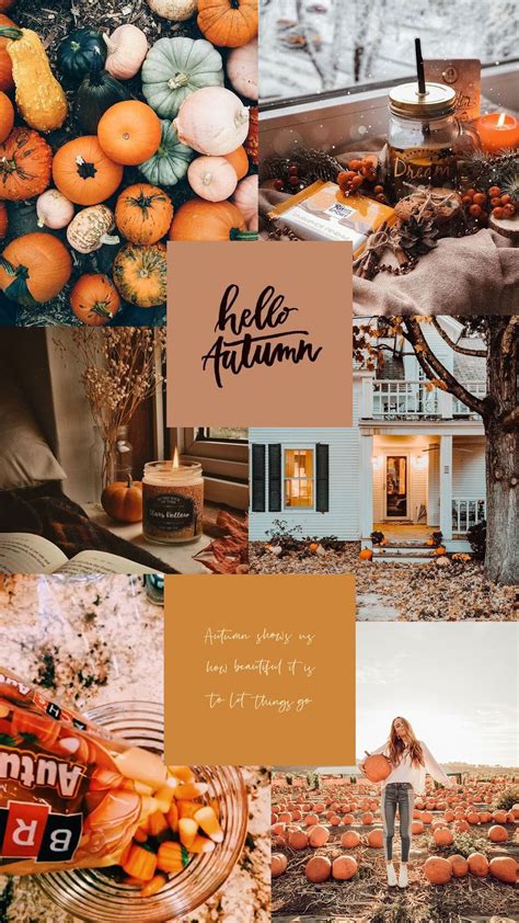 40 Best Fall Collage Ideas : Pumpkin Season - Idea Wallpapers , iPhone Wallpapers,Color Schemes