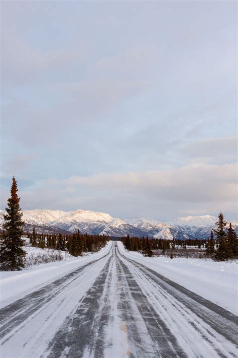 So You're Visiting Denali in February...