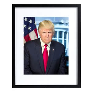 PRESIDENT DONALD J. TRUMP'S "OFFICIAL" WHITE HOUSE PORTRAIT. | eBay