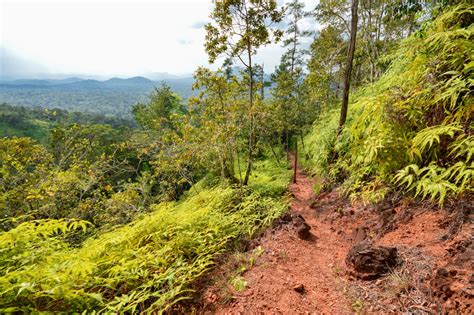 Solitude in Hiking: Cockscomb Basin Wildlife Sanctuary