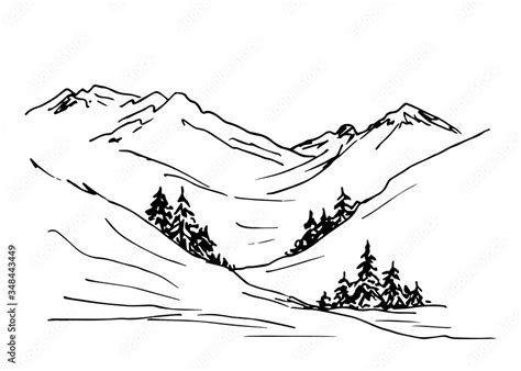 Hand-drawn black outline vector drawing. Wildlife, mountain view, conifers, spruce. Natural ...