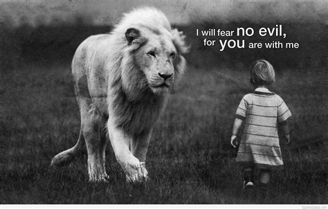 Lion Motivation Wallpapers - Top Free Lion Motivation Backgrounds ...