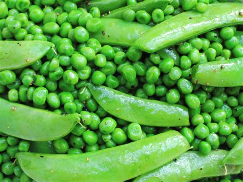 BRAISED PETITS POIS WITH SUGAR SNAP PEAS – The Weathered Grey Table