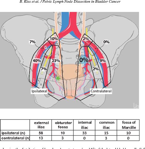 Male Pelvic Lymph Nodes