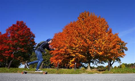 Cool temperatures leading to vibrant fall colours in Ontario: experts ...