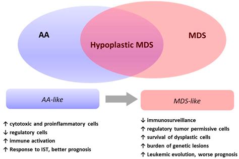 Cancers | Free Full-Text | Hypoplastic Myelodysplastic Syndromes: Just ...