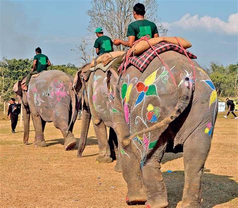 Elephant Festival | Sri Lanka Foundation