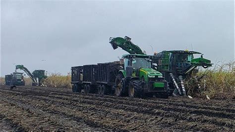 Harvesting Sugarcane - YouTube