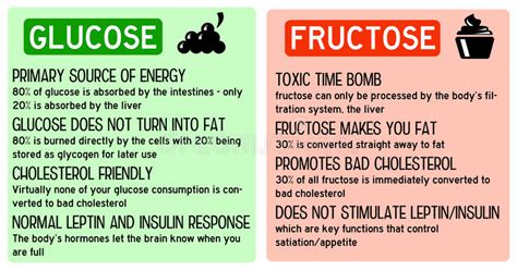 Glucose fructose. Difference between good sugar glucose in fruits and bad sugar fructose in ...