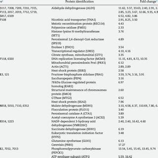 -Proteins identified by mass spectrometry. | Download Table