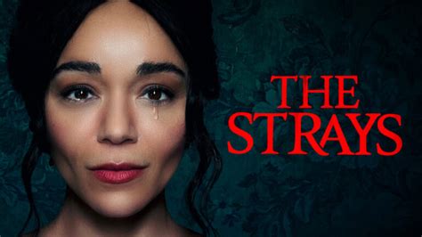 [ฝรั่ง]-The Strays (2023) คนหลงทาง [เสียงไทย5.1 - อังกฤษ5.1] [บรรยายไทย - อังกฤษ]-WEB-DL.H.264 ...