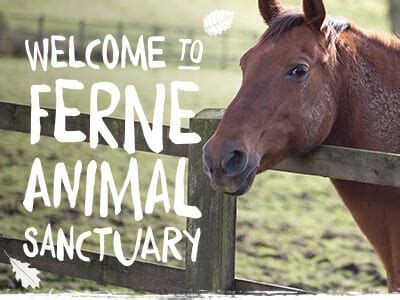 Ferne Animal Sanctuary