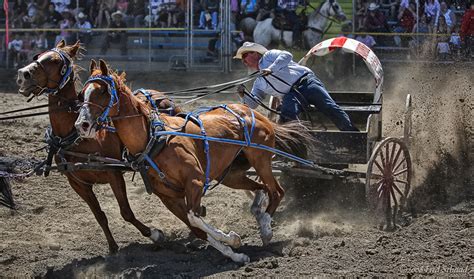 Up to Speed: Chuck Wagon Races