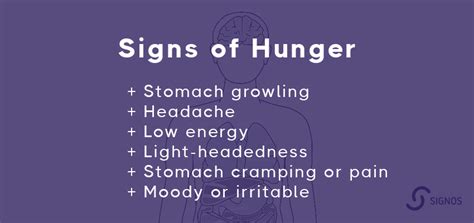 Hunger Signals: True Hunger and Its Connection to Blood Glucose | Signos