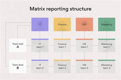 Differences between Functional vs Matrix organization structure in ...