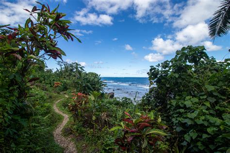 Lavena Coastal Walk: Walk to Waterfalls in Taveuni, Fiji - Chantae Was Here