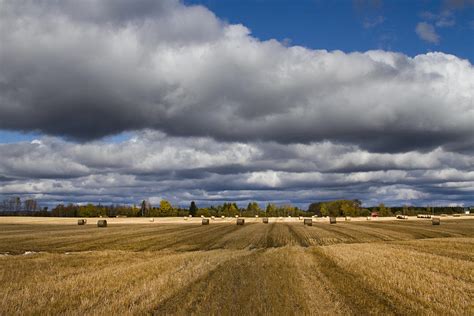 Hay Field Photograph by Daniel Martin - Fine Art America