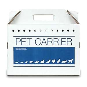 Amazon.com : Cardboard Pet Carrier 12pk : Cardboard Cat Carriers : Pet Supplies