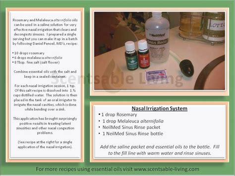 Nasal Irrigation Recipe – Dandk Organizer