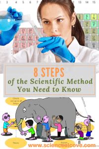8 Steps of the Scientific Method You Need to Know | Scientific method ...