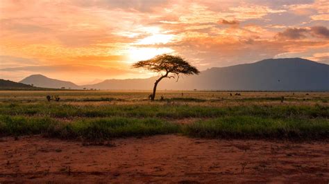 Sustainable Smallholder Agriculture in Sub-Saharan Africa – Blackstone Ranch Institute