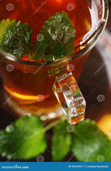 Melissa Tea Stock Image - Image: 25334411