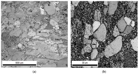 Effect of Mg Addition and PMMA Coating on the Biodegradation Behaviour of Extruded Zn Material