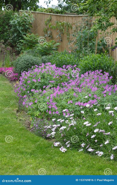 English Garden Flower Border Stock Photo - Image of backyard, bloom: 153769816