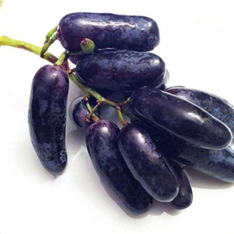 50 Pcs/Pack Finger Grape Seed Delicious Potted Fruit Grapes Plant Seeds ...