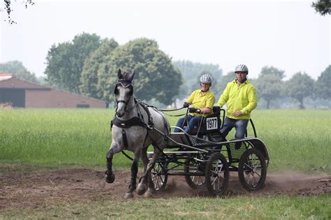 20140713-1316-39 | Horse and Carriage Driving Competition 20… | Flickr