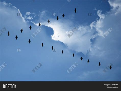 Flying Formation Image & Photo (Free Trial) | Bigstock