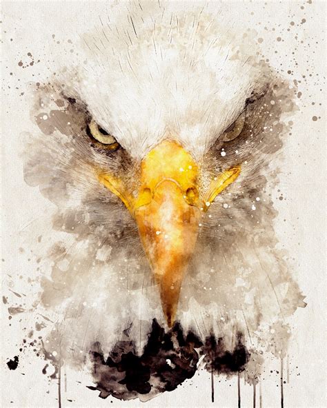 Watercolor Eagle Print Bald Eagle Art Abstract Bald Eagle - Etsy