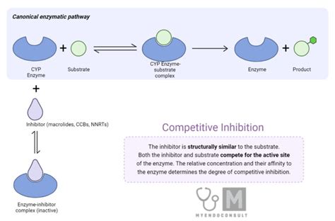 Medications Inhibitors CYP3A4 Enzyme - My Endo Consult