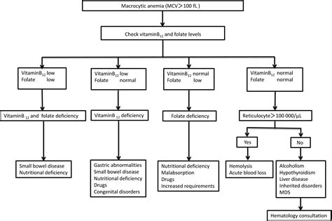 Diagnosis and treatment of macrocytic anemias in adults - Nagao - 2017 ...