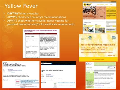 Yellow Fever DAYTIME biting mosquito - ppt download