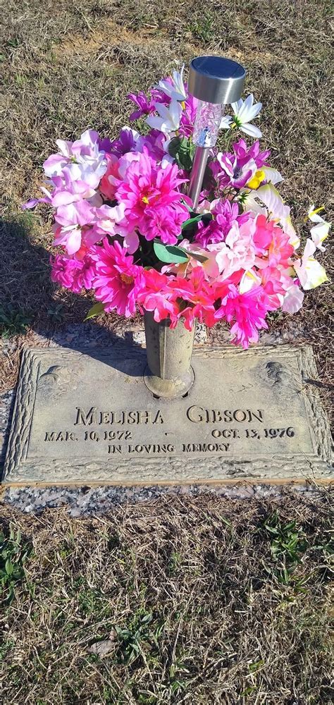 Melisha Morganna Gibson (1972-1976) - Find a Grave Memorial