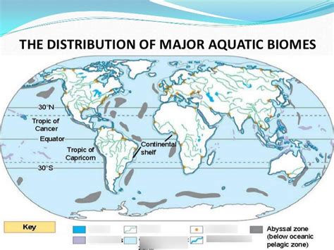 Aquatic Biomes Chart