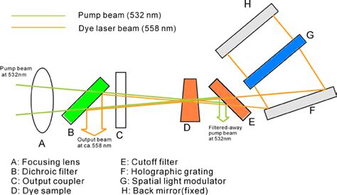 Schematic layout of a tunable solid-state dye laser with an intracavity ...