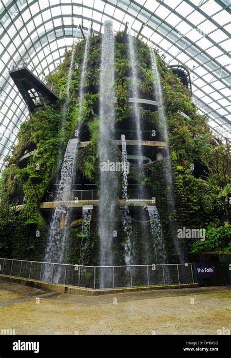 The Falls, a 35m indoor waterfall at the Cloud Forest Conservatory Stock Photo: 68483452 - Alamy