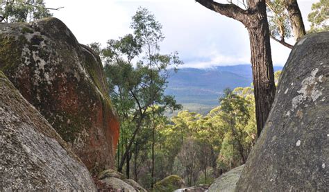 Camping in Bunyip State Park